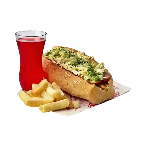 Perro Mexicano