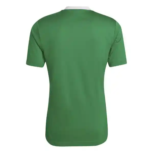 Adidas Camiseta Ent22 Jsy Verde Hombre Talla M Ref : HI2123
