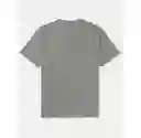 Camiseta Hombre Gris Talla X-Small American Eagle 01813477