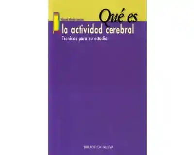 Qué Es La Actividad Cerebral Técnicas Para Su Estudio