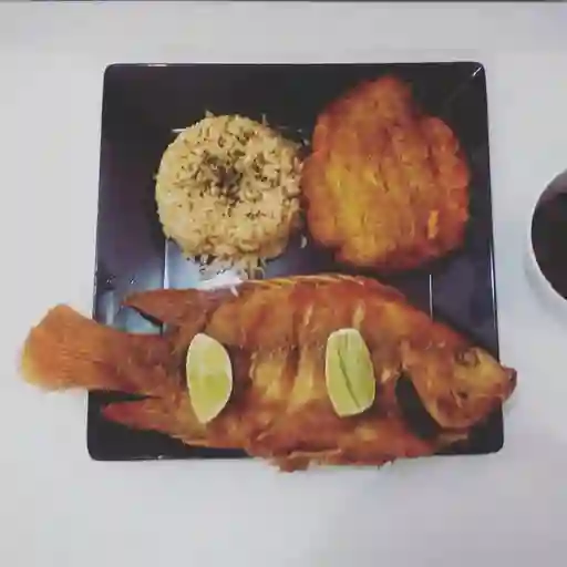 Tilapia Roja
