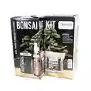 Bonsái kit