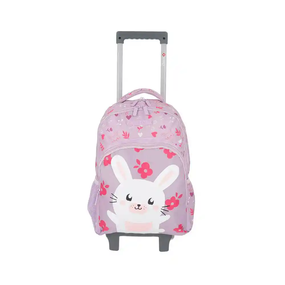 Morral Ruedas Lincoln 4xtlilac Rabb Lilac