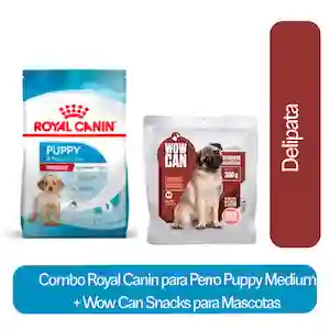 Combo Royal Canin Puppy Medium + Wow Can Mascotas