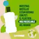 Enjuague Bucal LISTERINE Cool Mint 500 ML