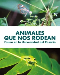 Animales Que Nos Rodean