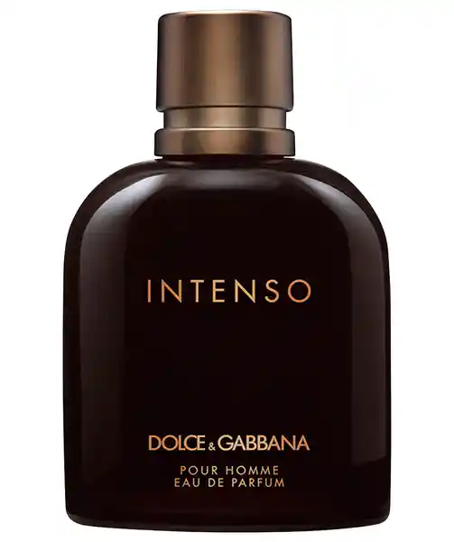 Dolce & Gabbana Perfume Intenso Pour Homme Edp