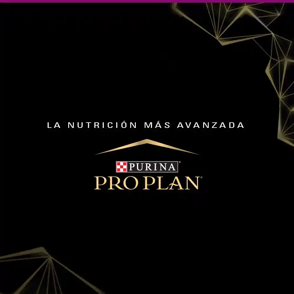 Comida para perros adultos paladares exigentes razas pequeñas Purina Pro Plan x 1 kg