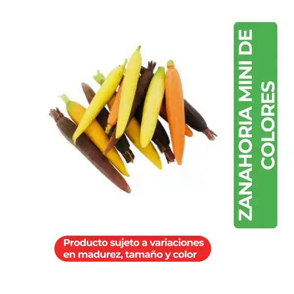 Ingredienta Gourmet Zanahoria Mini de Colores