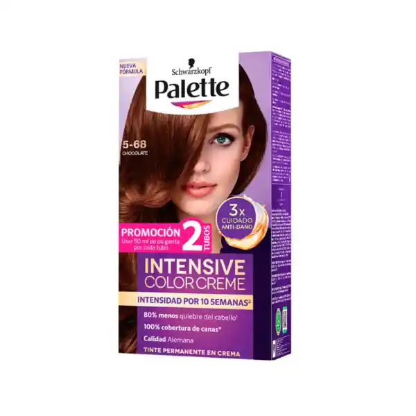 Palette Tinte Intensive Color Creme Chocolate 5-68 100 mL