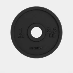 Disco De Hierro De 1kg Para Barras De 28 Mm - Negro