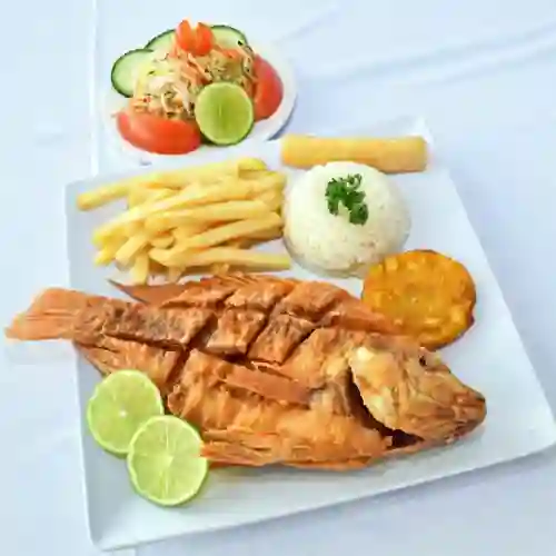 Mojorra Frita