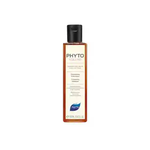 Phyto Shampoo Volume