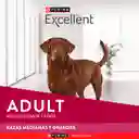 Comida para perros EXCELLENT ADULT Razas Medianas y Grandes x 3 kg