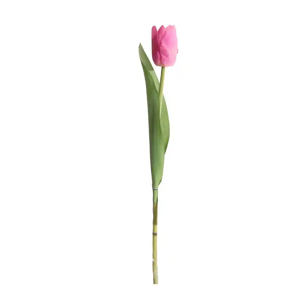 Tulipan Gio Home Mediano Rosa