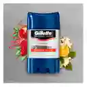 Gillette Antitranspirante en Gel 5 Active Protect Specialized