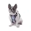 Arnes de Caminata Para Perro Totto Pechera Heikul Militar Morado