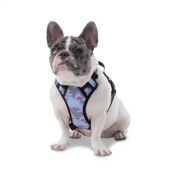Arnes de Caminata Para Perro Totto Pechera Heikul Militar Morado