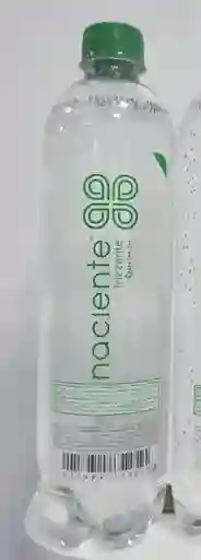 Naciente Agua Con Gas