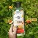 Shampoo Herbal Essences Bio Renew Toronja Blanca y Menta 400 ml