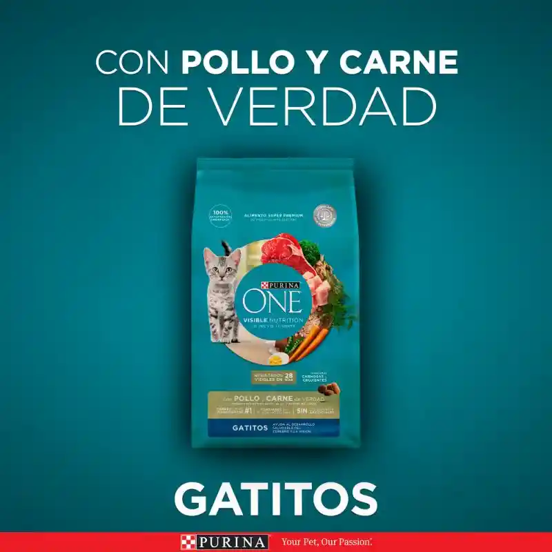 Comida para Gatitos Pollo y Carne Purina One x 500gr