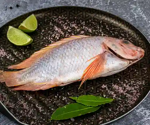 Mojarra Se Grande