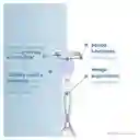 GILLETTE Venus Íntima Cuchilla de Afeitar Mujer Máquina de Afeitar Desechable con Barra Protectora para Área Íntima Depilación Zona Íntima 2 Uds