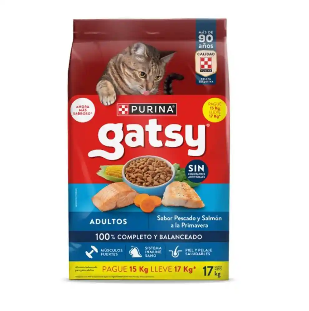 Pescado Salmon Purina Gatsy