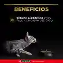 Comida para Gatos Reductor de Alergenos Purina Pro Plan Live Clear x 3 kg