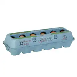 Gallicol Huevos Rojos Tipo A