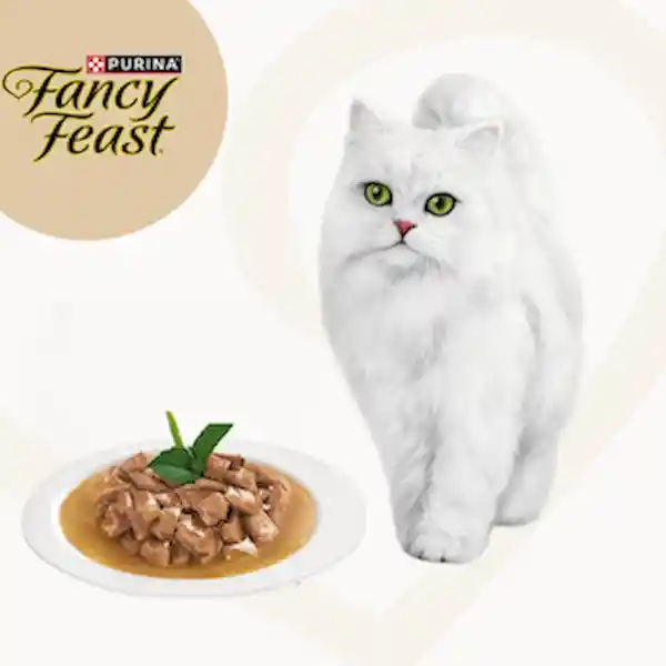 Fancy Feast Pack Alimento Para Gatos
