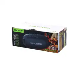 Newtec Parlante Koleer H30