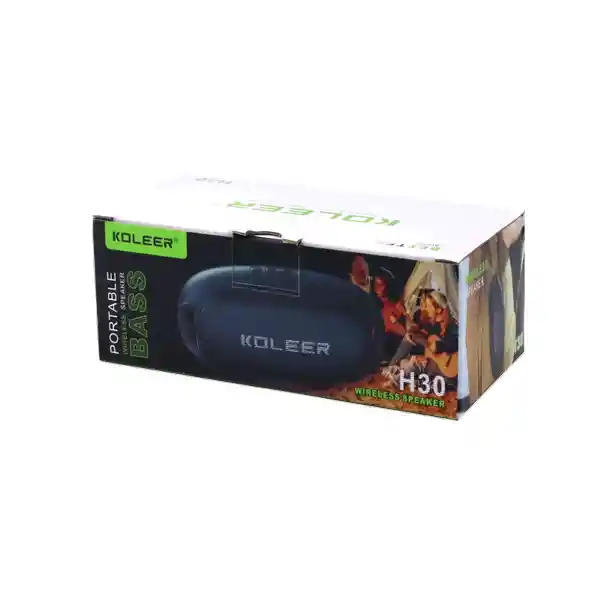 Newtec Parlante Koleer H30