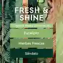 Glade Aerosol Edición Limitada Fresh & Shine 