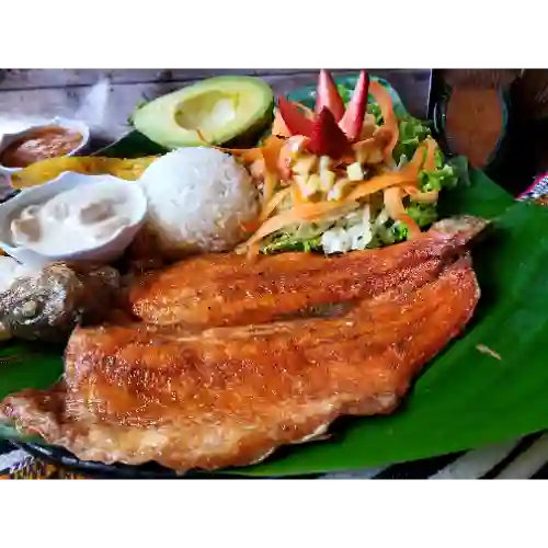 Trucha en Salsa de Champiñones
