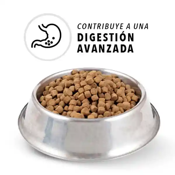 Ringo Alimento Para Perro Pro Adultos