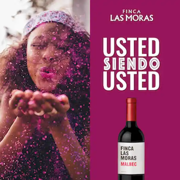 Finca las Moras Vino Tinto Malbec 