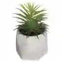 Planta Artificial Maceta Surtido 114760 F1
