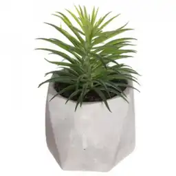 Planta Artificial Maceta Surtido 114760 F1