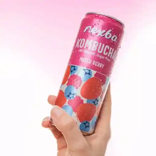 Kombucha Mixed Berry - Nexba