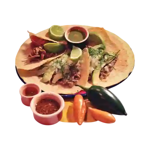 Tacos de Carnitas