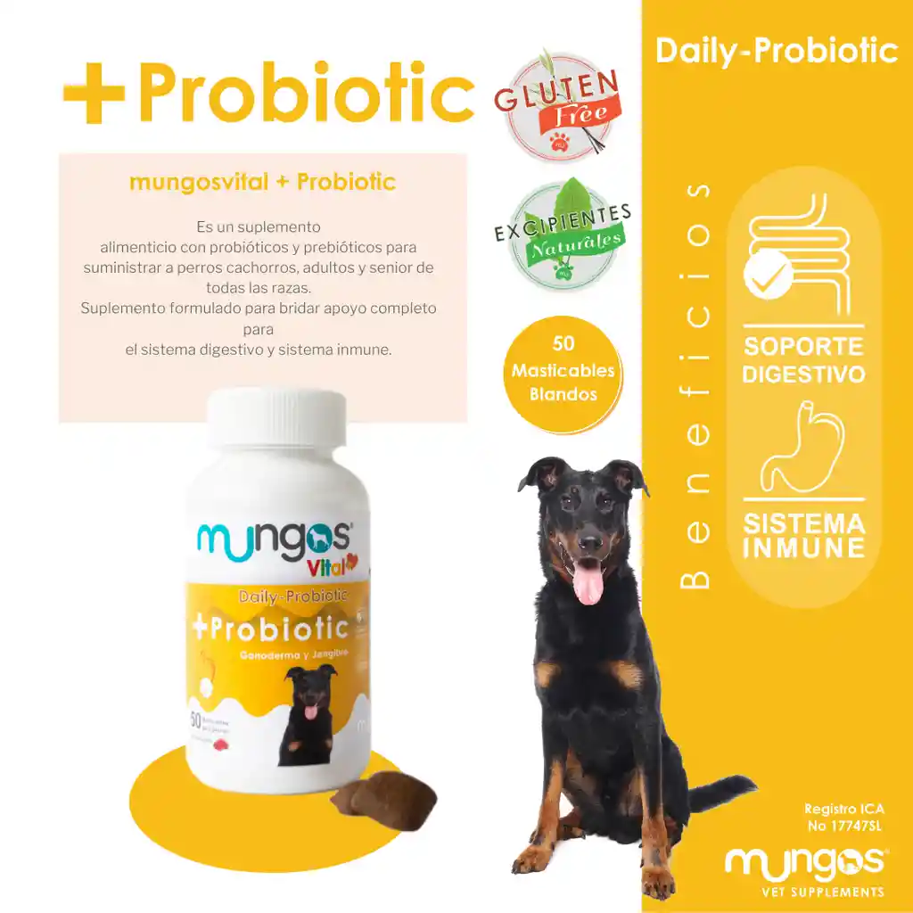 Mungos Probióticos para Perros Salud Intestinal
