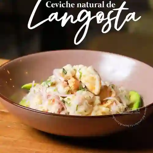 Langosta Al Natural con Aguacate