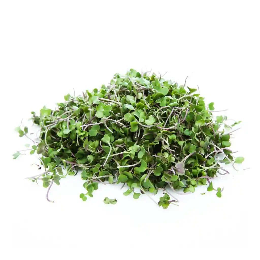 Pomario Brote de Rúgula