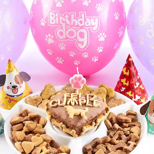 Pet Brunch - Velitas