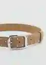 Cinturón Muriel Arena Talla M Mujer Mango
