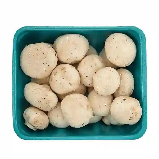 Champiñón Máximo