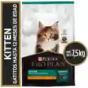 Comida para Gatitos Purina Pro Plan x 7,5 kg