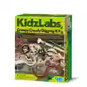 KidzLabs Kit de Excavación de Bichos Espeluznantes