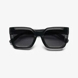 B+D Gafas Sol Bellevue Ne